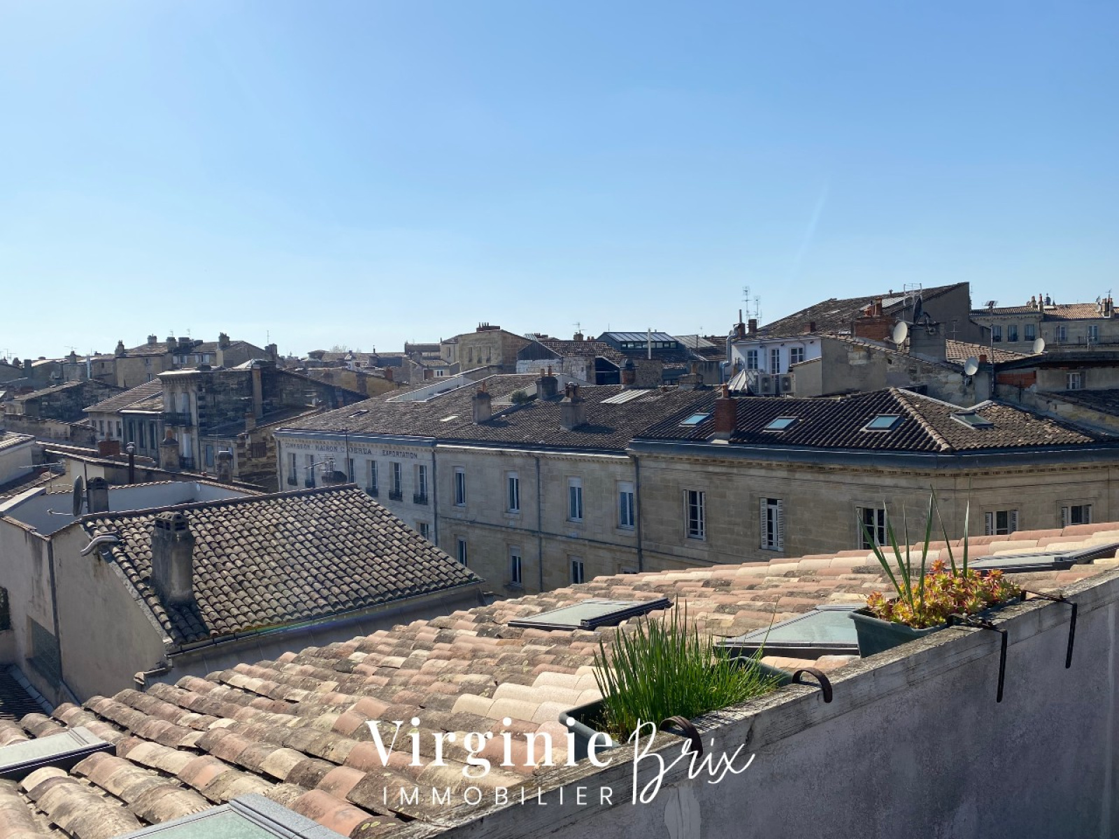 Image_, Duplex, Bordeaux, ref :VBI/14