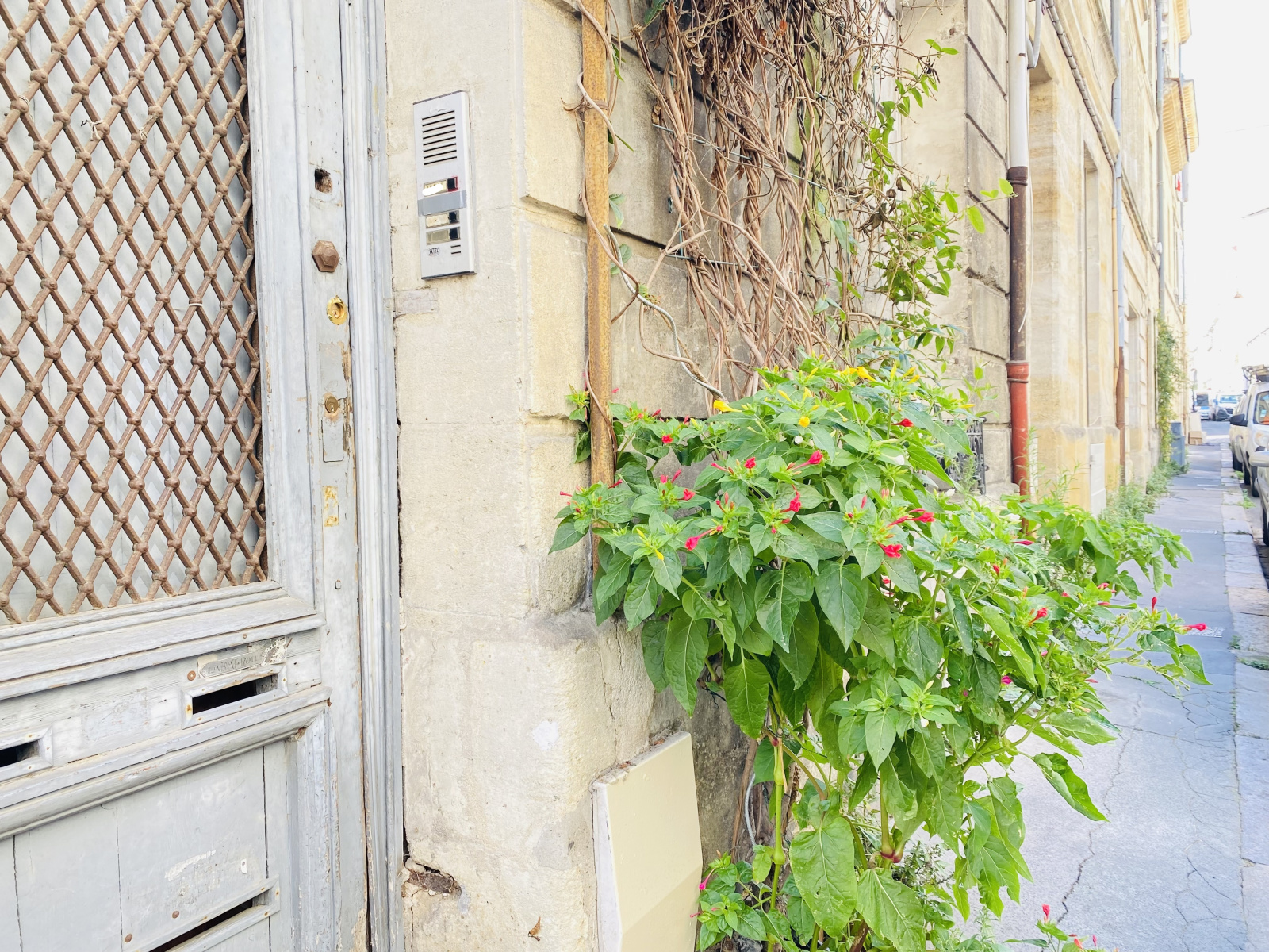 Image_, Duplex, Bordeaux, ref :VBI/28