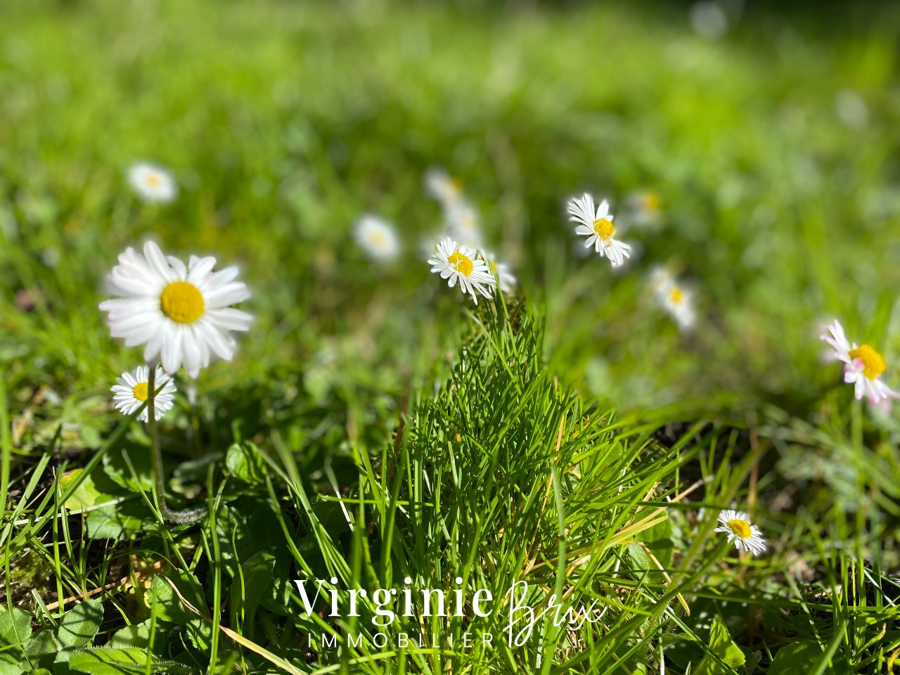 Photo bien immobilier